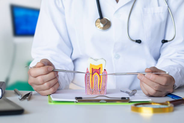 Best Emergency Dental Extractions in Fairmount Heights, MD
